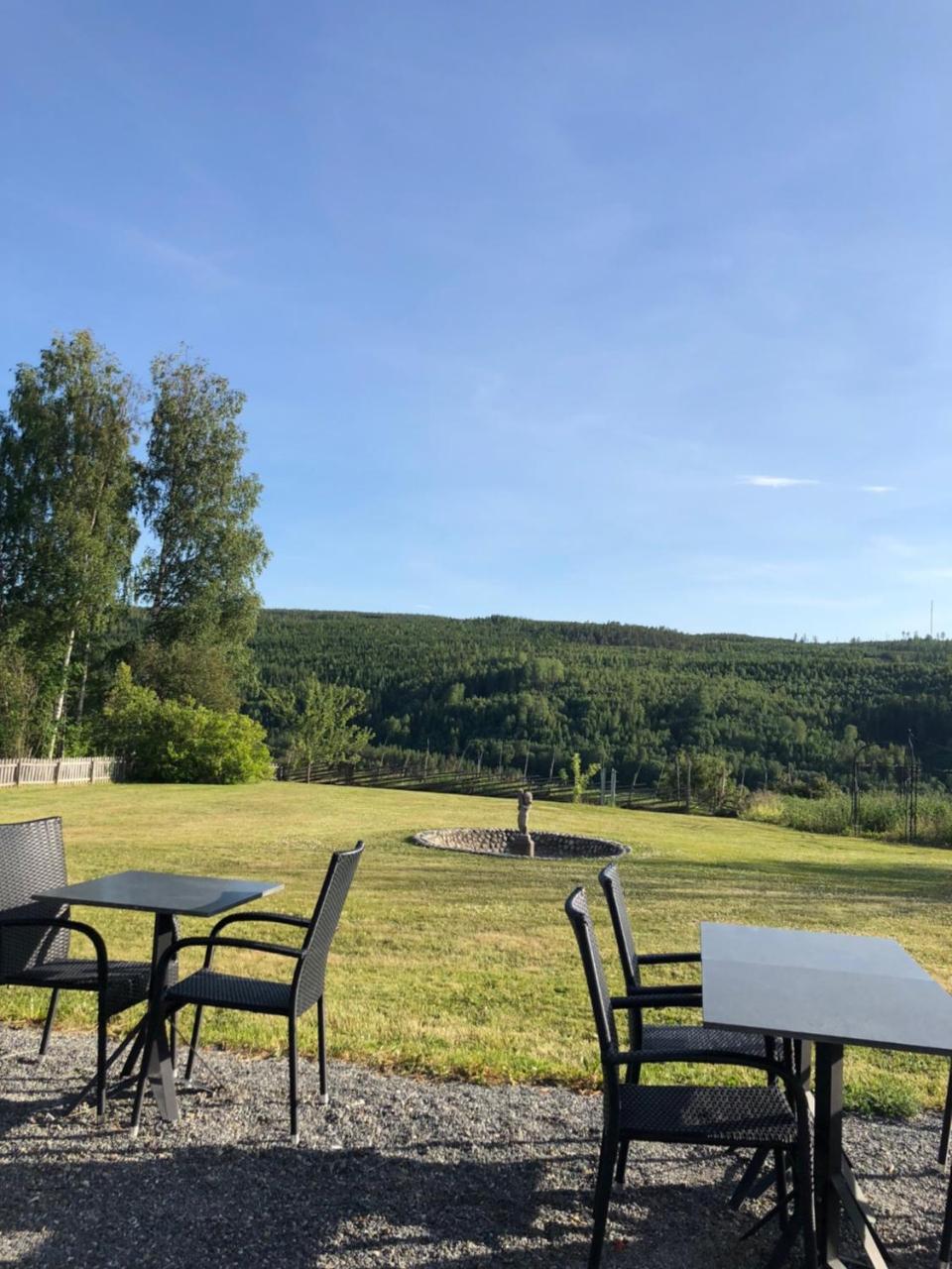Hotell Restaurang Naemforsen Nasaker Екстер'єр фото
