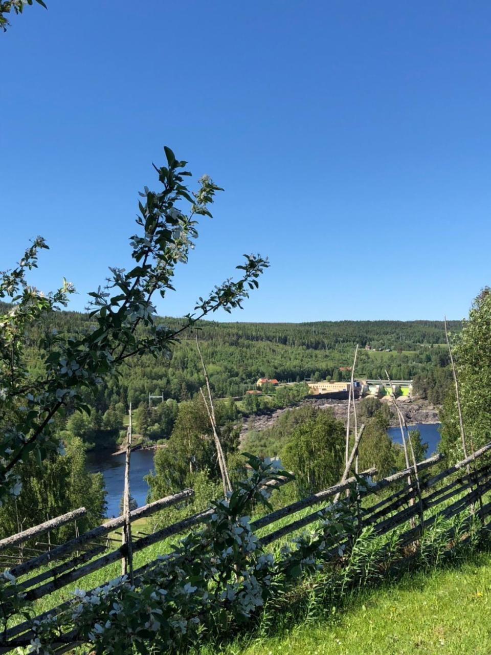Hotell Restaurang Naemforsen Nasaker Екстер'єр фото